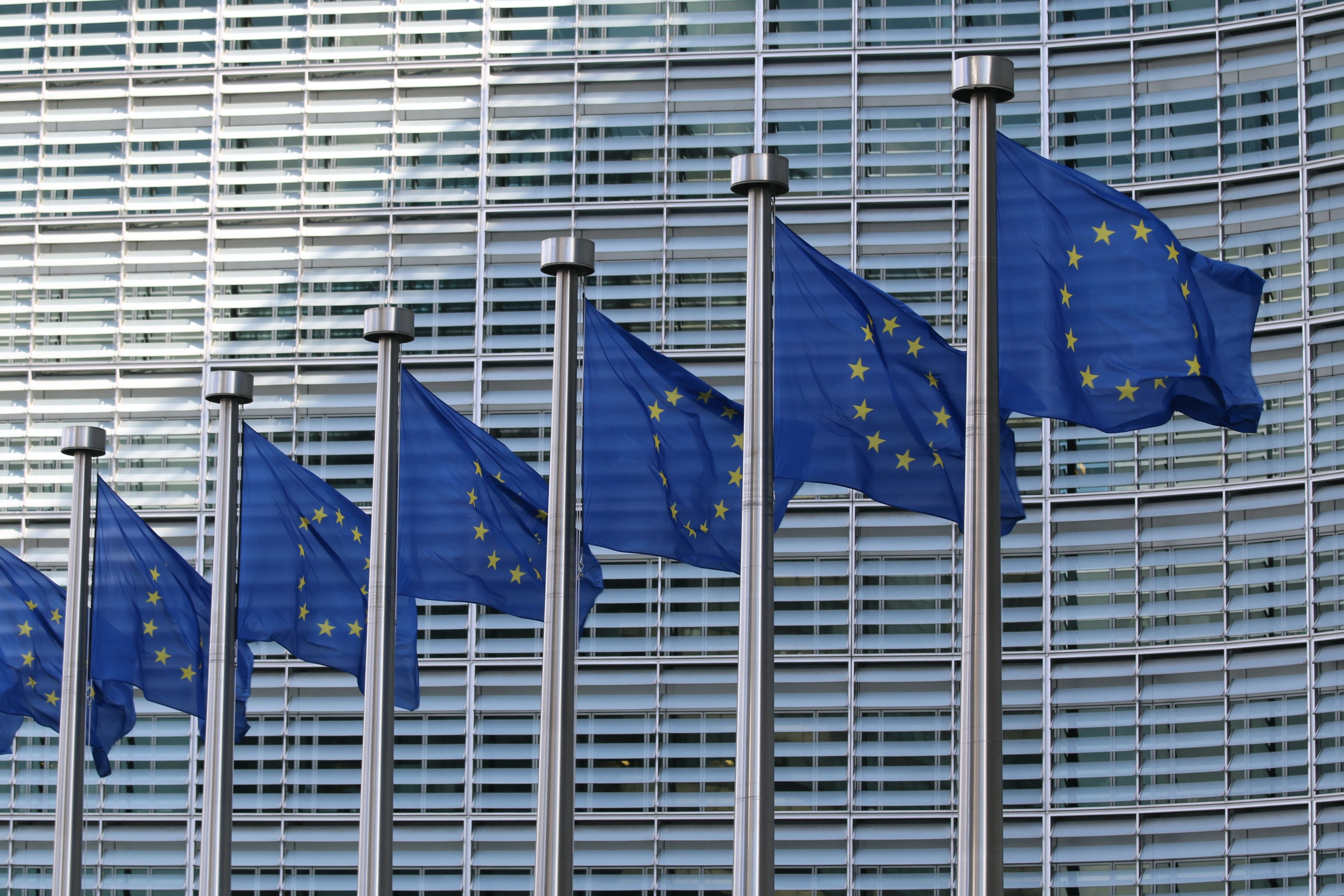 EU Flags signify parliment law 