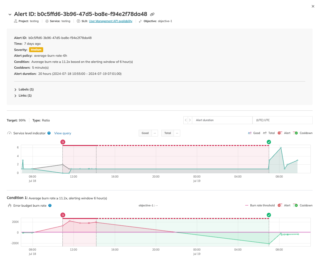 Image 10: Alert details showing an alert triggered by an alert policy based on the average error budget burn rate.